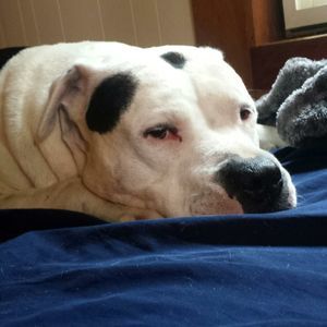 Meet your Posher, Joseph